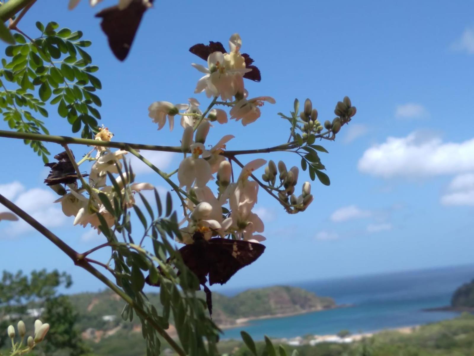 فندق El Jardin سان خوان ديل سور المظهر الخارجي الصورة